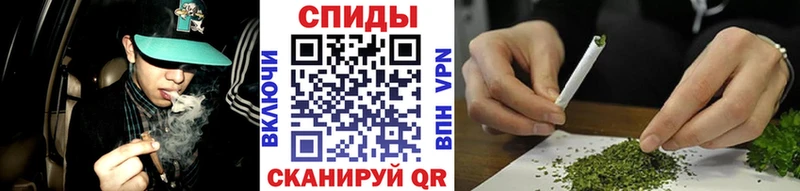 Бутират буратино  Данков 