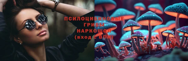 сатива Богородицк
