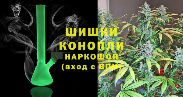 сатива Богородицк