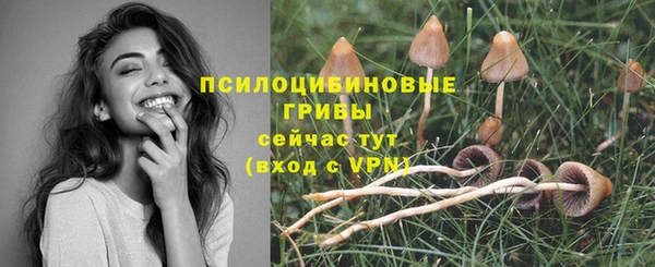 сатива Богородицк
