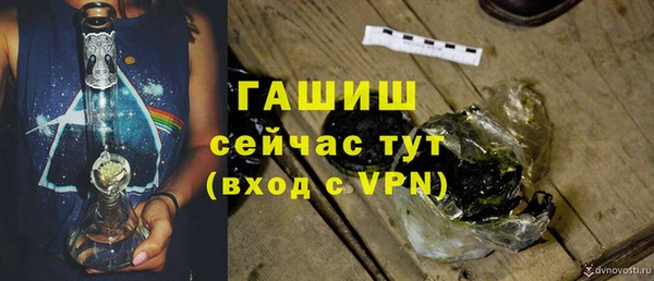 сатива Богородицк