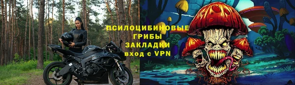сатива Богородицк